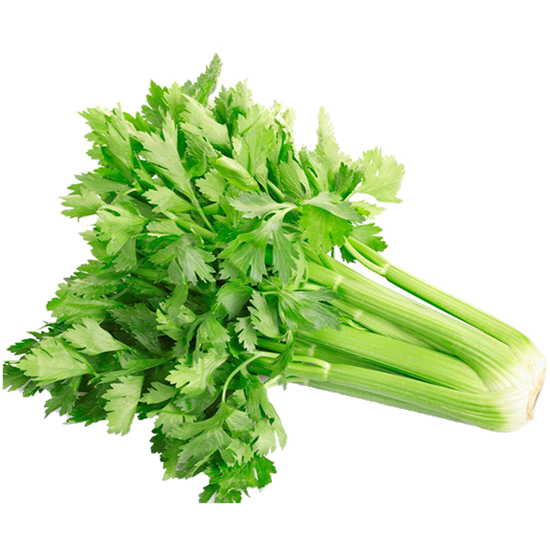 سبزی کرفس